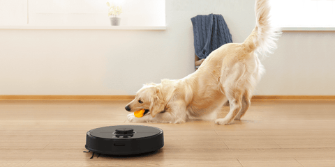 Pets living in an apartment with Roborock robot cleaner